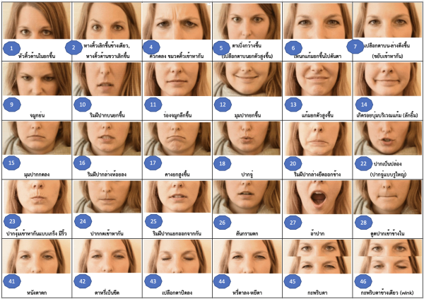 Screen Shot 2023-02-03 at 17.20.06